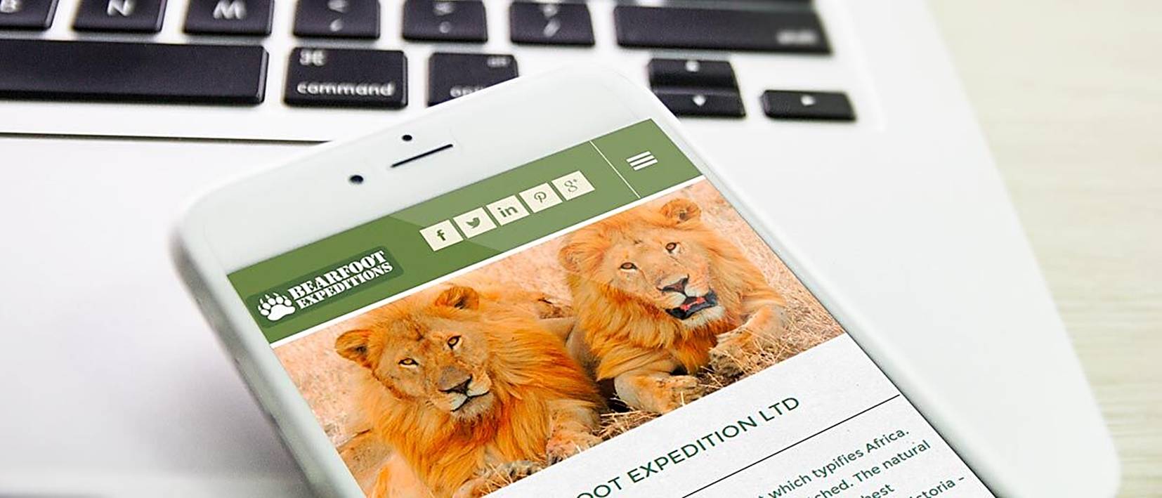 keyboard, mobile phone, lions